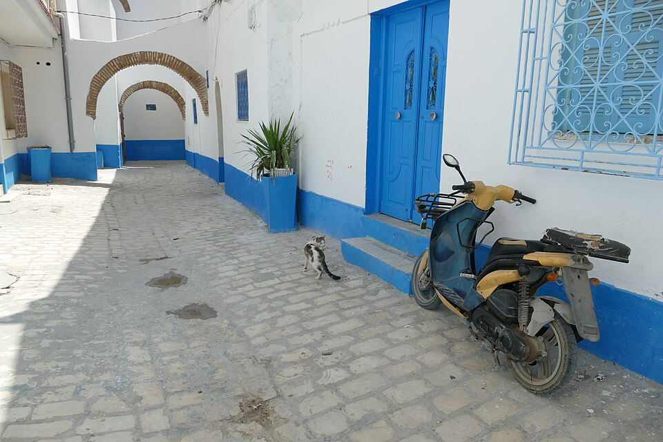 Bizerte — custom e-commerce platforms for local businesses
