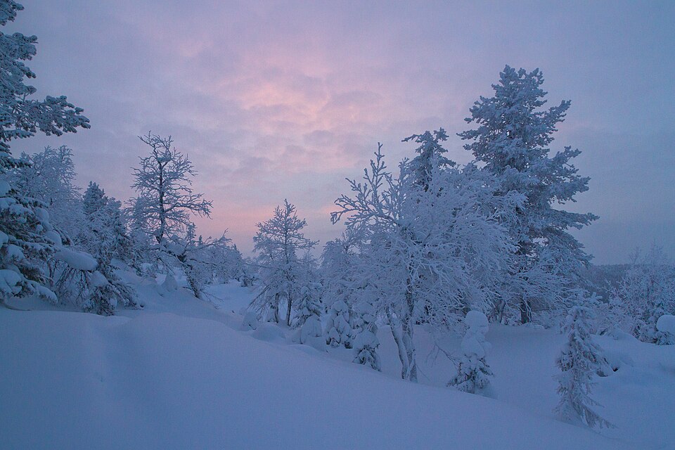 Finland — service booking platforms for local businesses