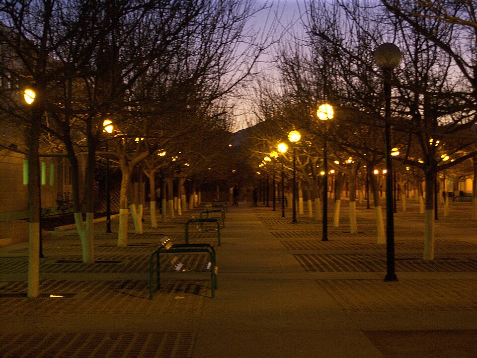 Ciudad Juárez — B2B and wholesale portals for local businesses