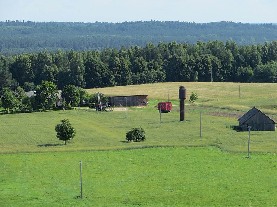 Lithuania — multi-vendor marketplaces for local businesses