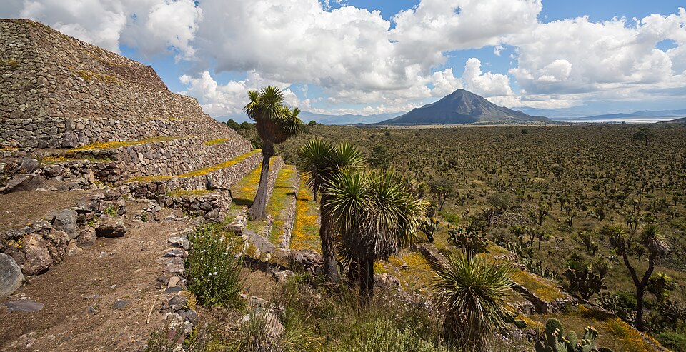 Puebla — local market for B2B and wholesale portals
