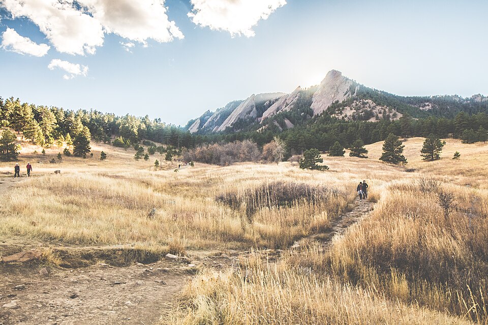 Boulder — local market for custom e-commerce platforms