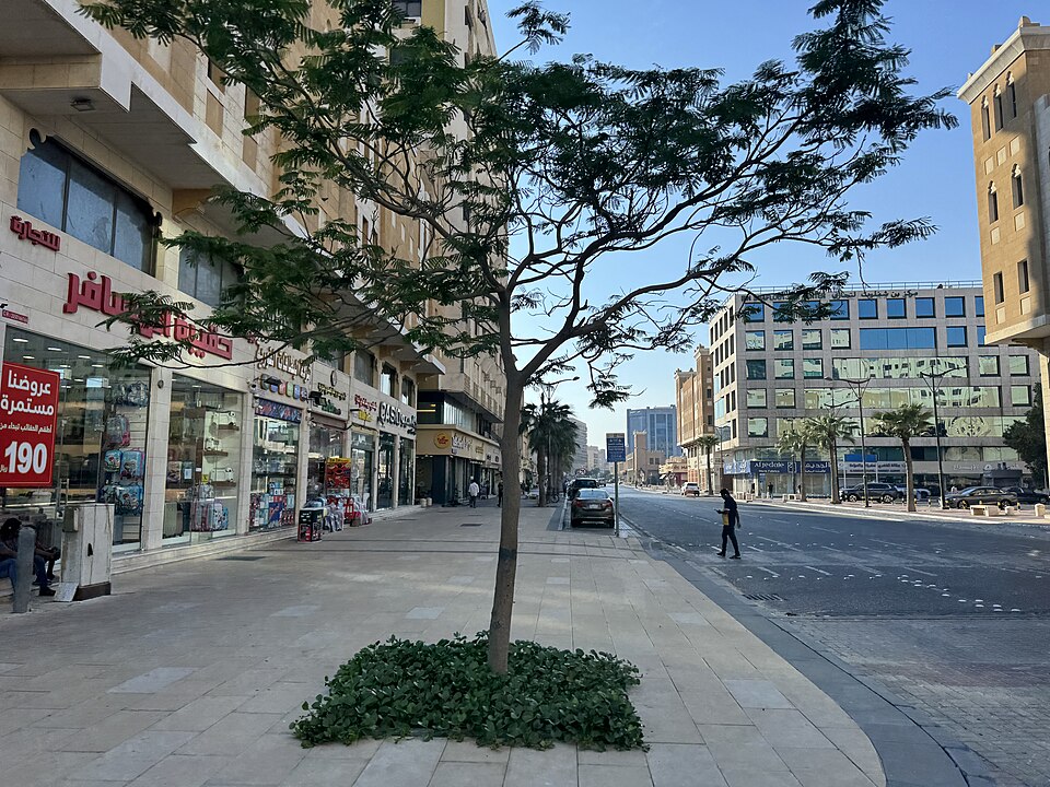 Dammam — local market for online stores