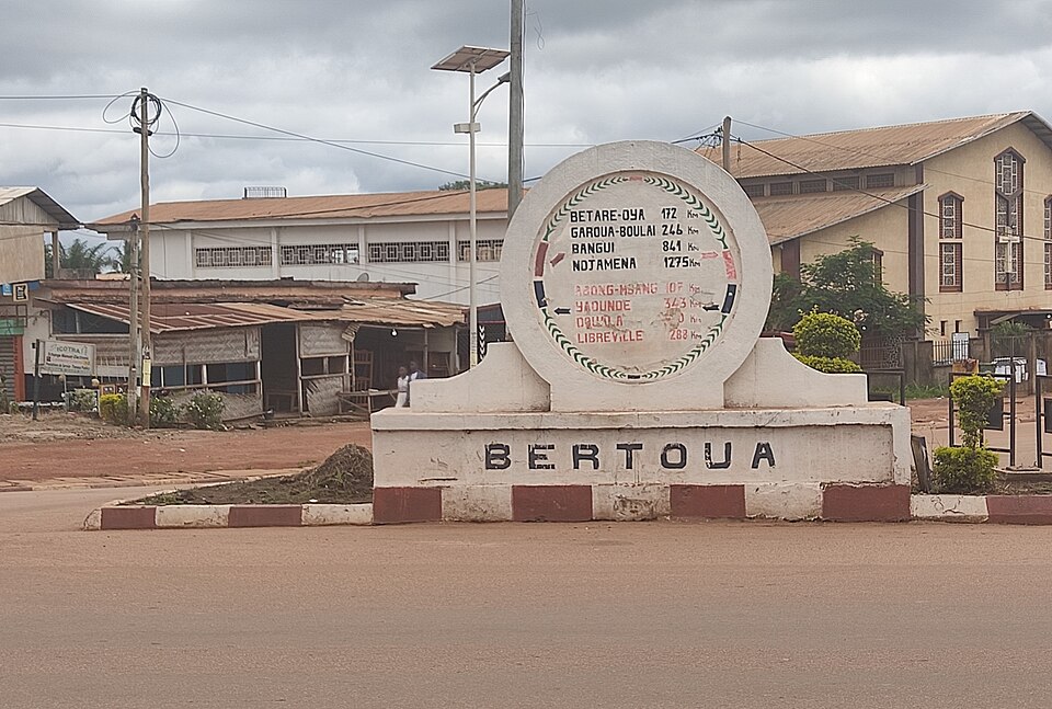Bertoua — local market for online stores