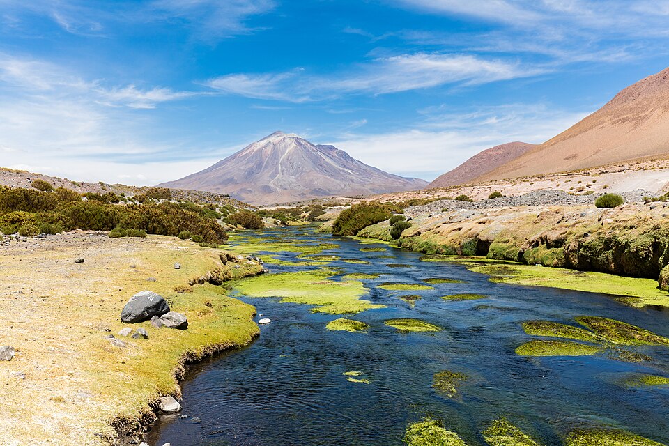 Chile — local market for multi-vendor marketplaces