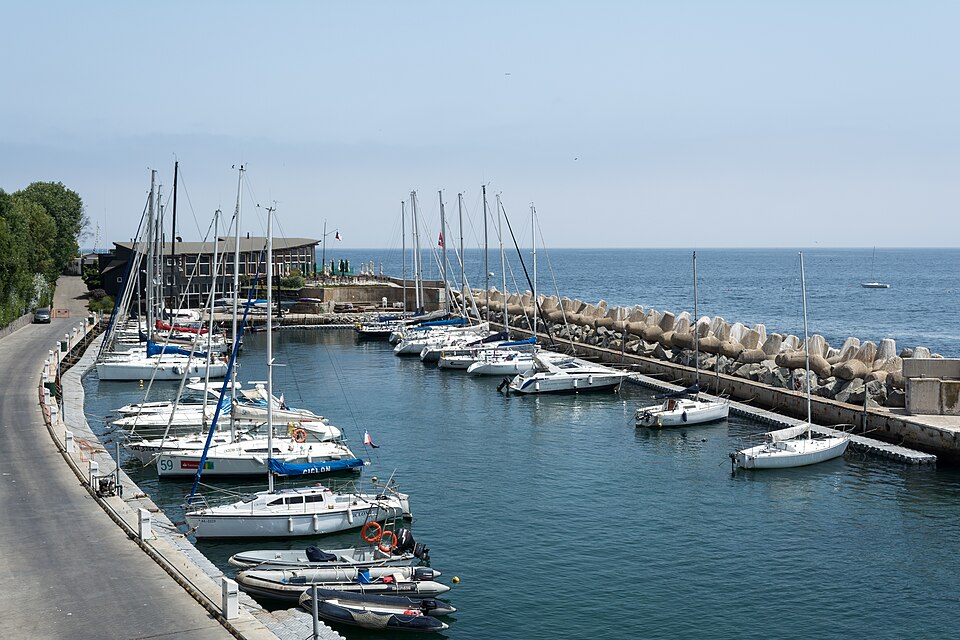 Viña del Mar — local market for subscription and membership platforms