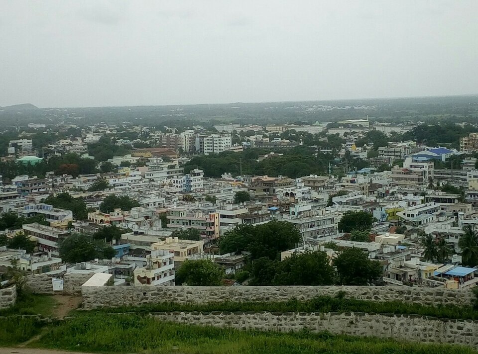 Suryapet — local market for online stores