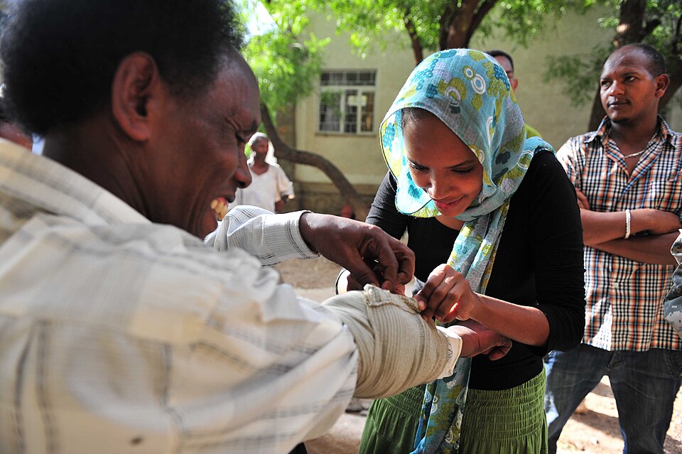 Addis Ababa — subscription and membership platforms for local businesses