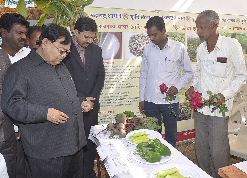 Sangli — online stores for local businesses
