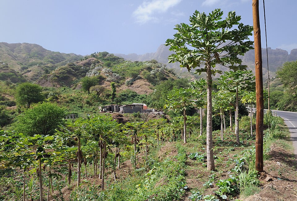 Cape Verde — local market for manufacturer and distributor portals