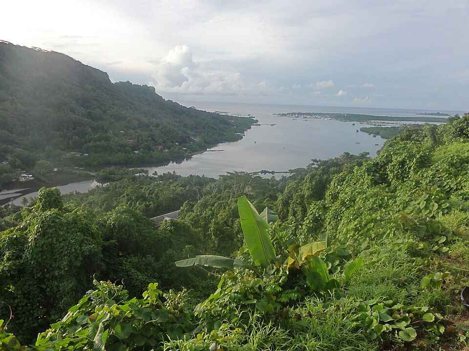 Micronesia — local market for online stores