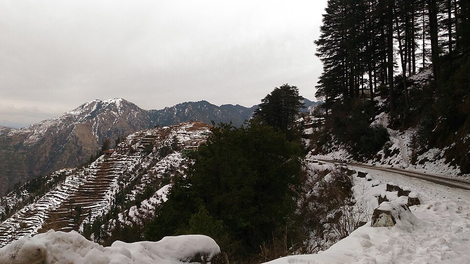 Mussoorie — local market for B2B and wholesale portals