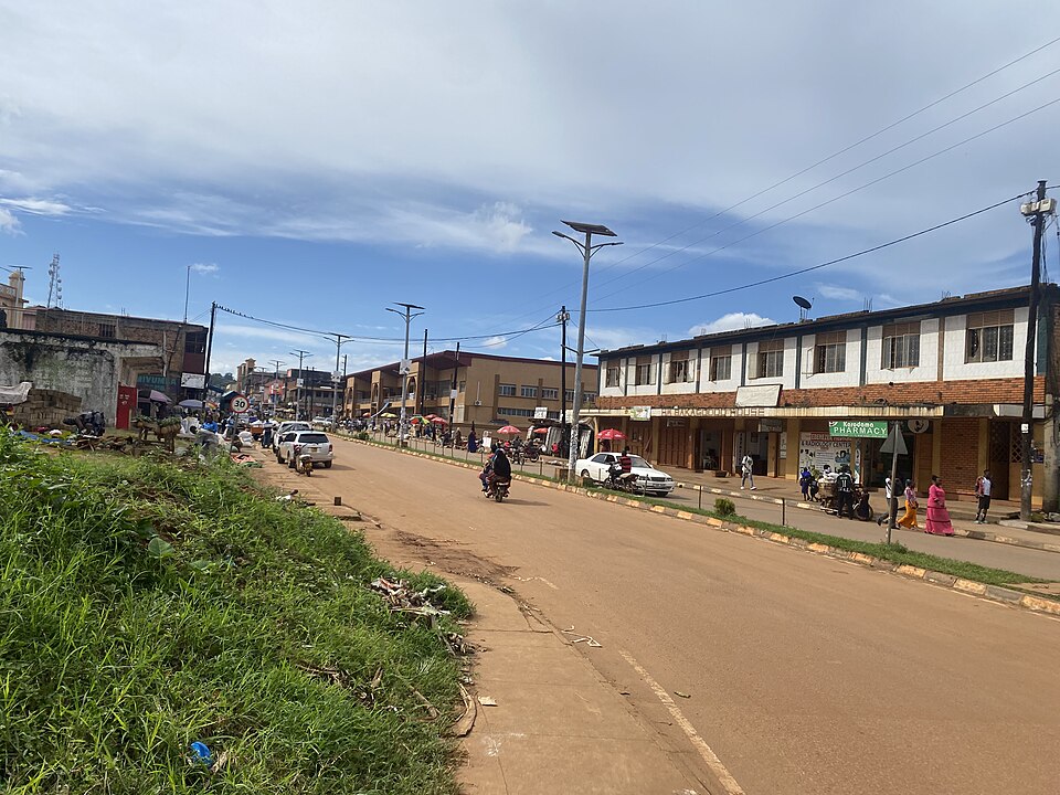 Masaka — local market for manufacturer and distributor portals