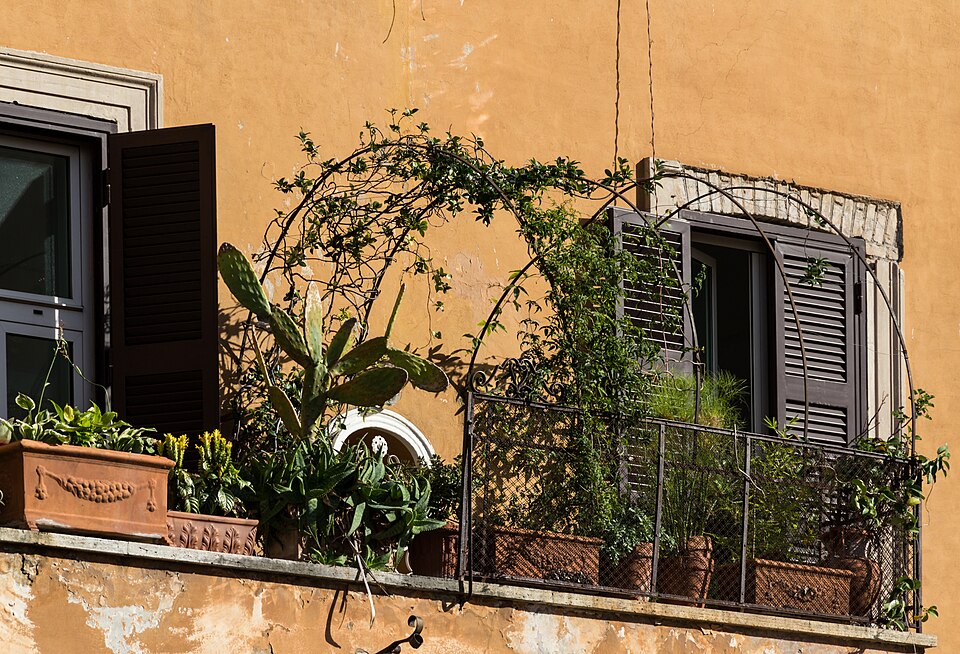 Rome — service booking platforms for local businesses