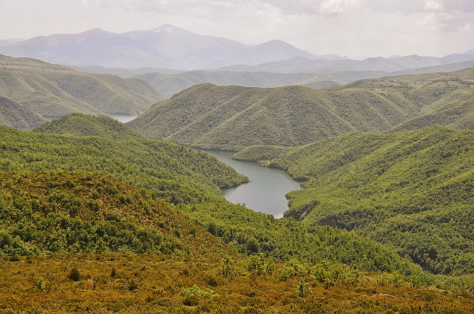 Albania — local market for international and multi-region stores