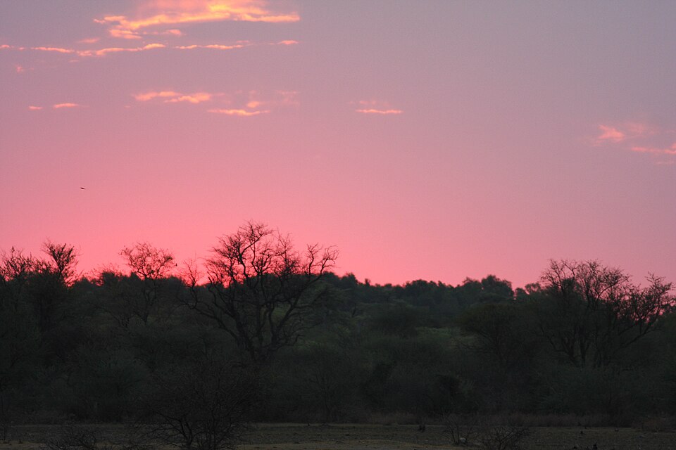 Rundu — local market for manufacturer and distributor portals