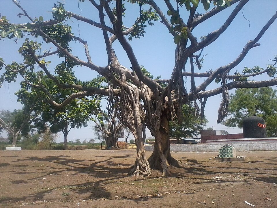 Ratlam — local market for B2B and wholesale portals