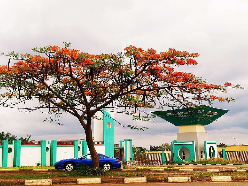 Enugu — local market for subscription and membership platforms