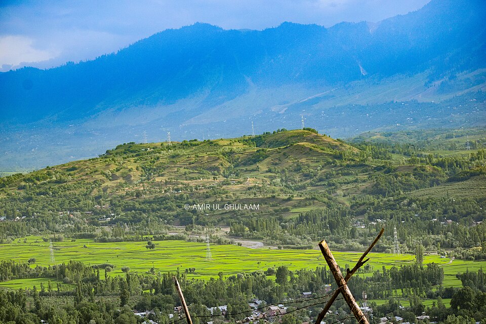 Budgam — local market for service booking platforms