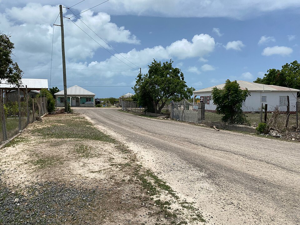 Codrington — B2B and wholesale portals for local businesses