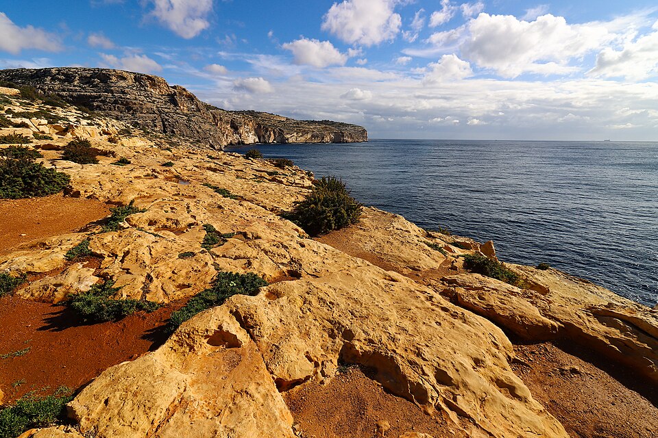 Malta — manufacturer and distributor portals for local businesses