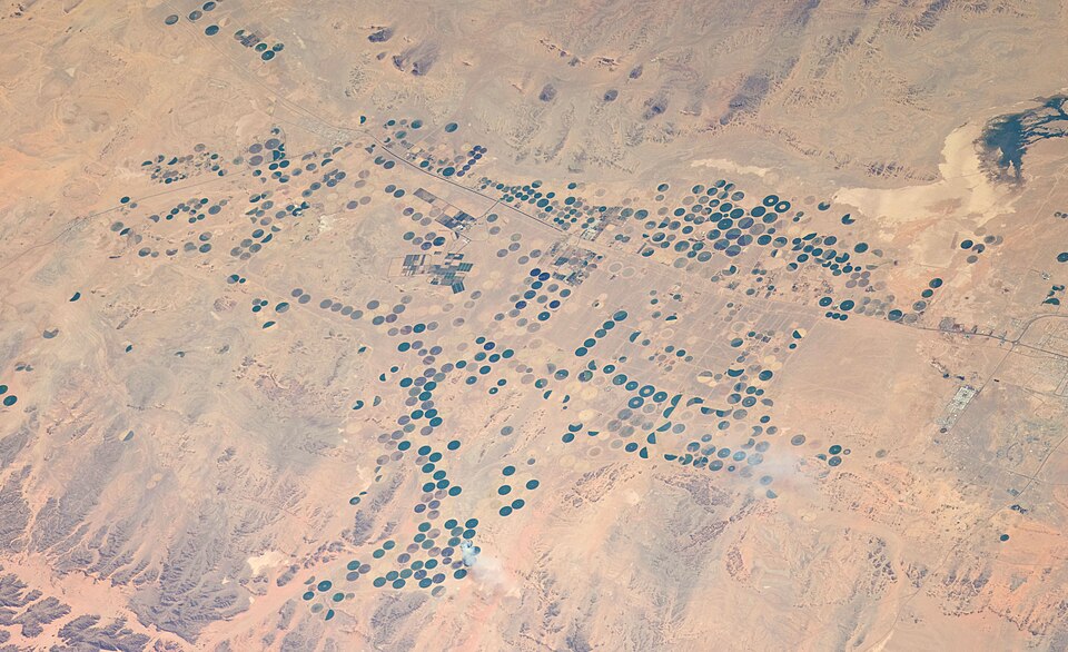 Tabuk — multi-vendor marketplaces for local businesses