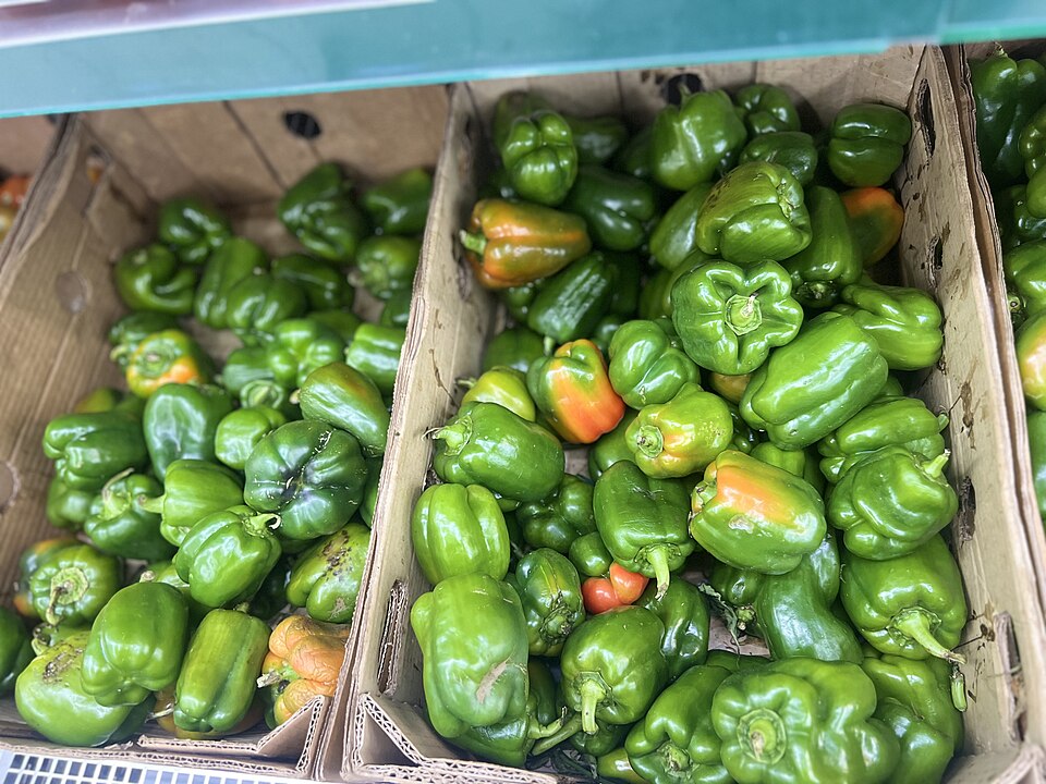 Palapye — multi-vendor marketplaces for local businesses