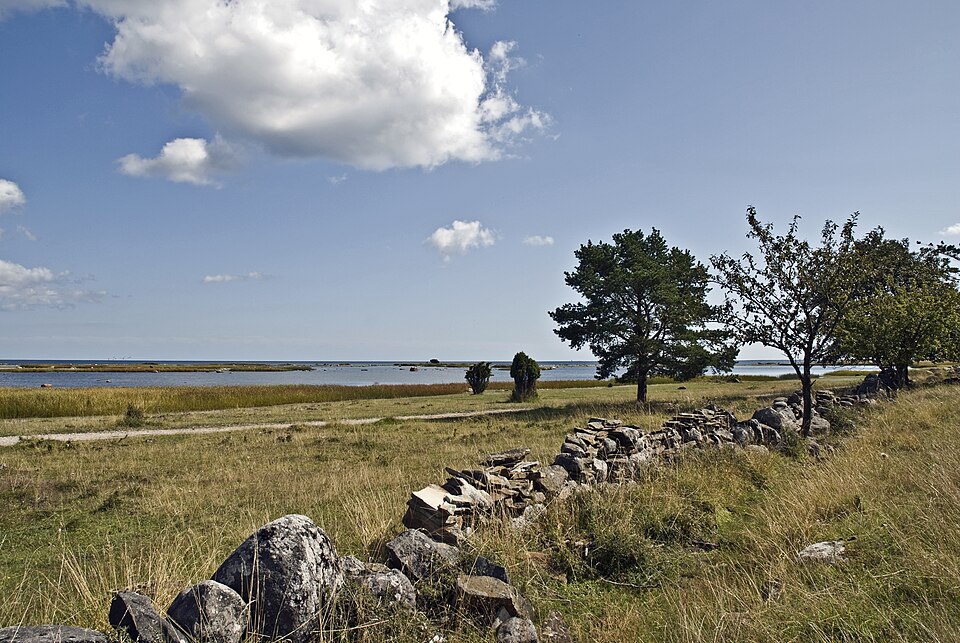 Sweden — local market for custom e-commerce platforms