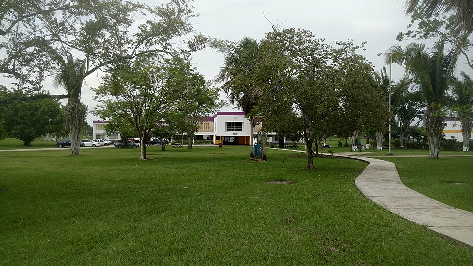 Belize — multi-vendor marketplaces for local businesses
