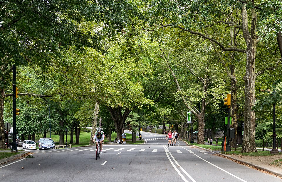 New York City — custom e-commerce platforms for local businesses