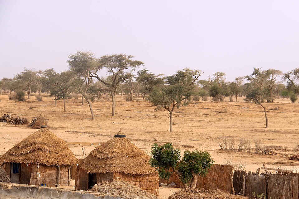 Senegal — local market for B2B and wholesale portals