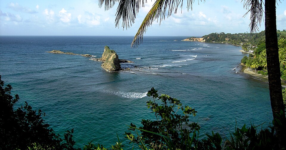 Dominica — local market for B2B and wholesale portals