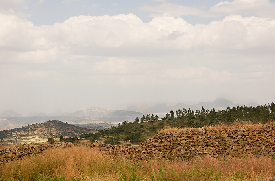 Ethiopia — B2B and wholesale portals for local businesses