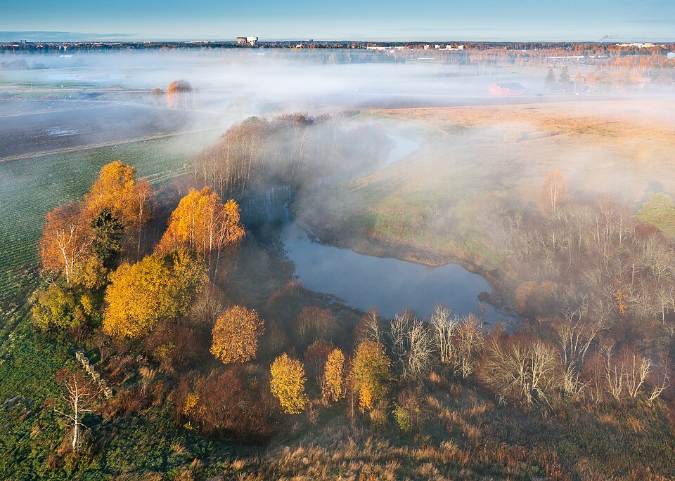 Vantaa — local market for custom e-commerce platforms
