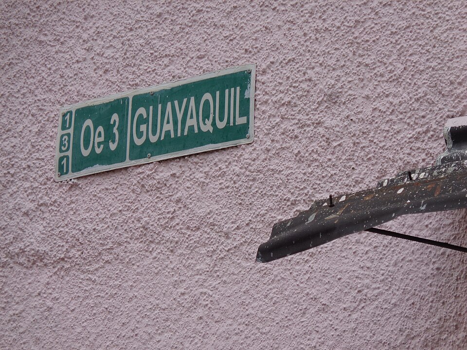 Guayaquil — local market for mobile commerce apps