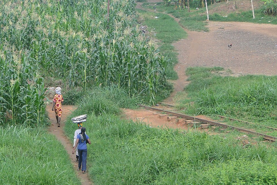 Kumasi — subscription and membership platforms for local businesses