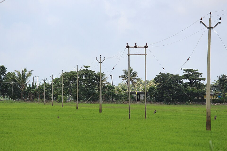 Alappuzha — online stores for local businesses