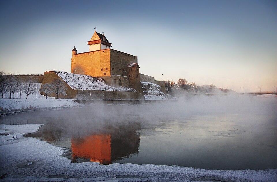 Narva — international and multi-region stores for local businesses