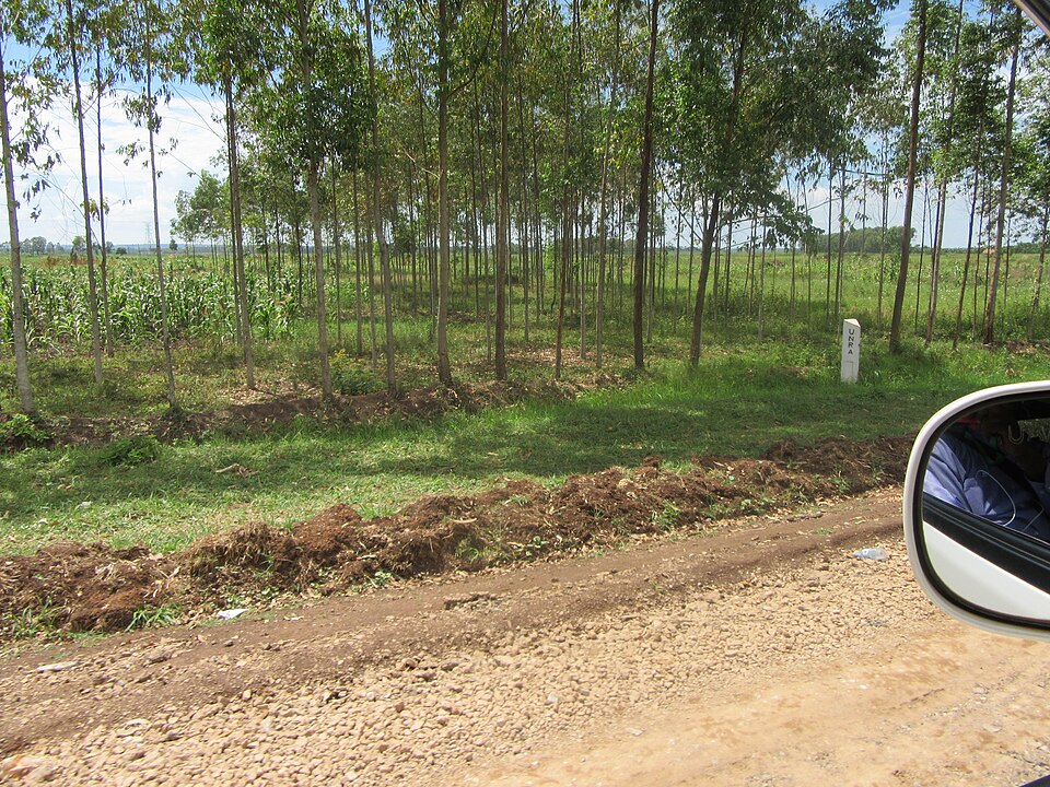 Mbale — international and multi-region stores for local businesses