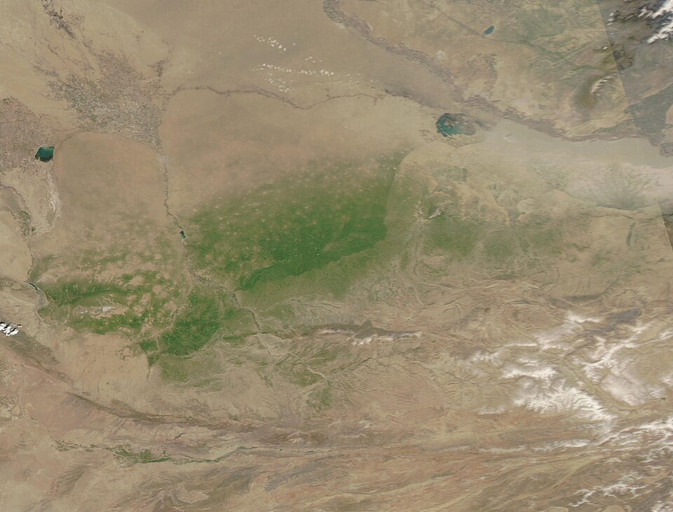 Turkmenistan — local market for manufacturer and distributor portals