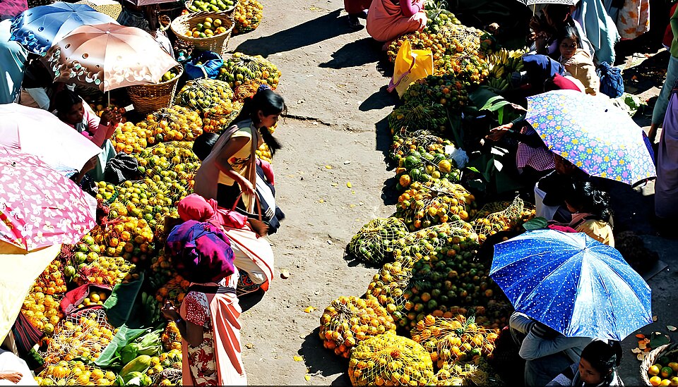 Sohra (Cherrapunji) — manufacturer and distributor portals for local businesses