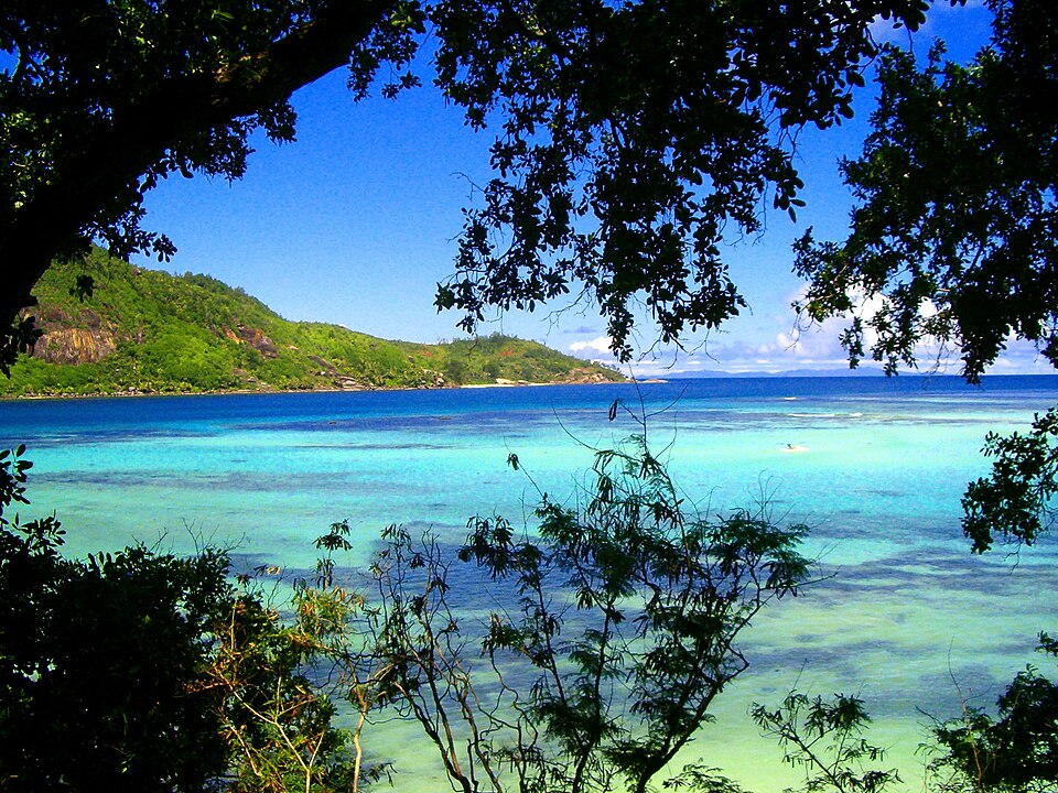 Seychelles — local market for multi-vendor marketplaces