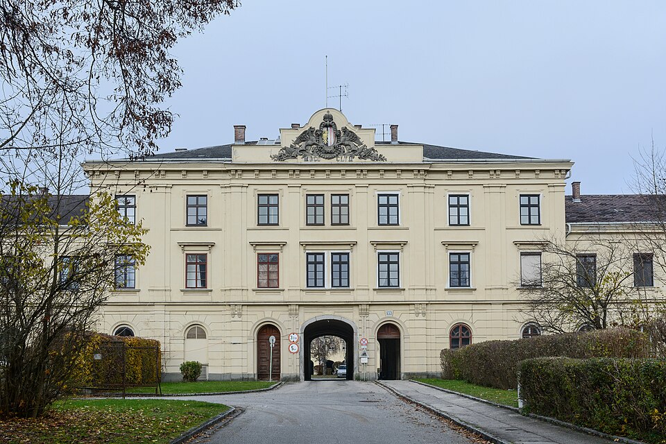 Wels — international and multi-region stores for local businesses
