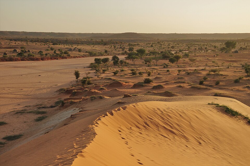 Niger — local market for manufacturer and distributor portals