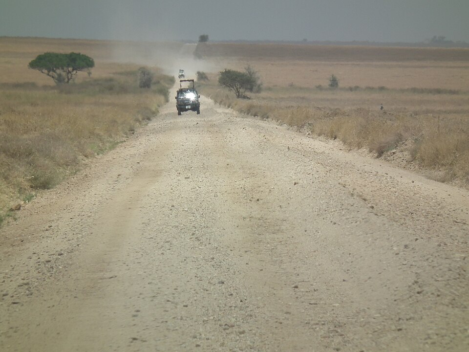 Tanzania — multi-vendor marketplaces for local businesses