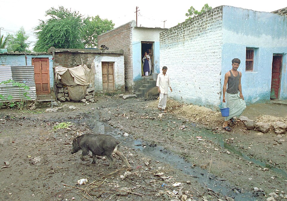 Solapur — multi-vendor marketplaces for local businesses