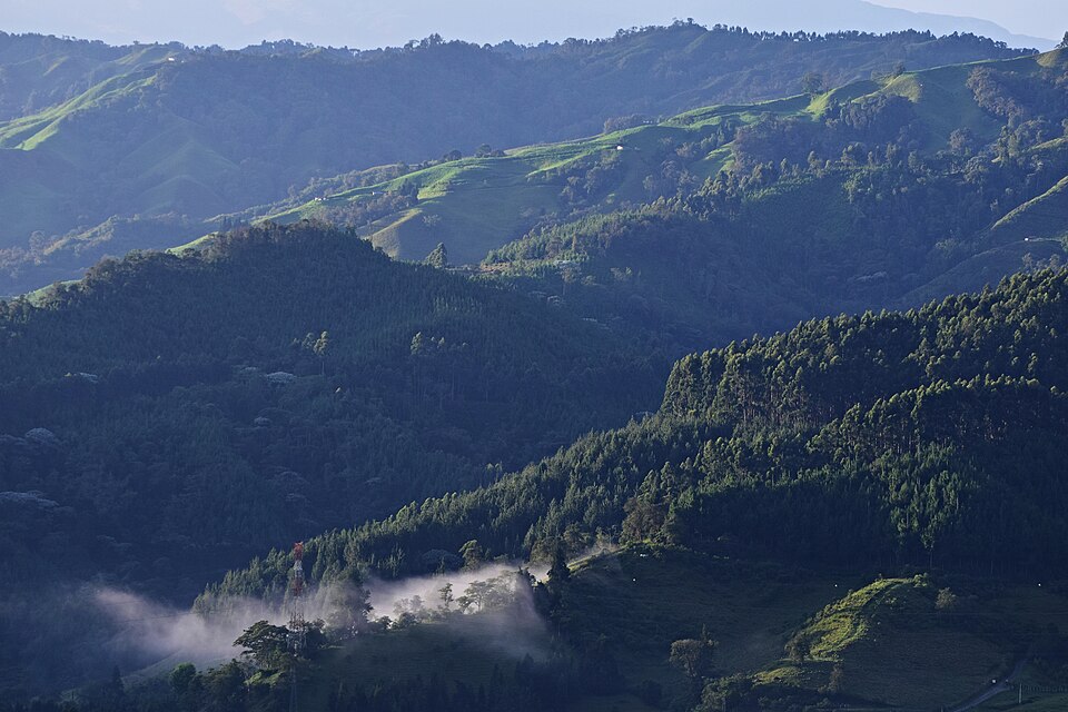 Manizales — international and multi-region stores for local businesses