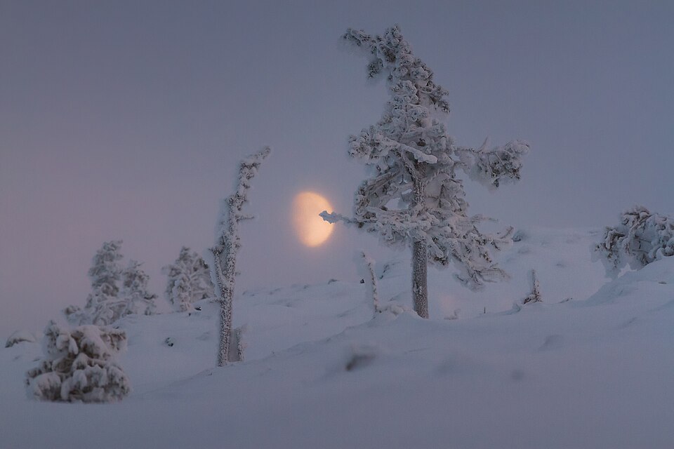 Finland — multi-vendor marketplaces for local businesses