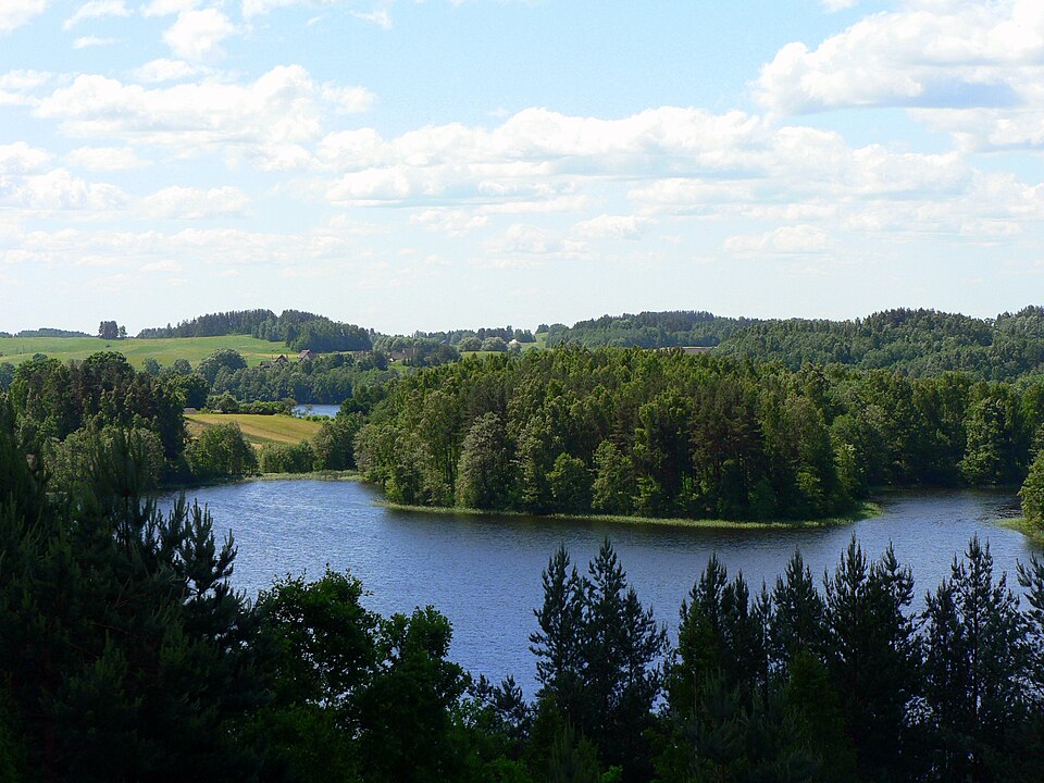 Lithuania — subscription and membership platforms for local businesses