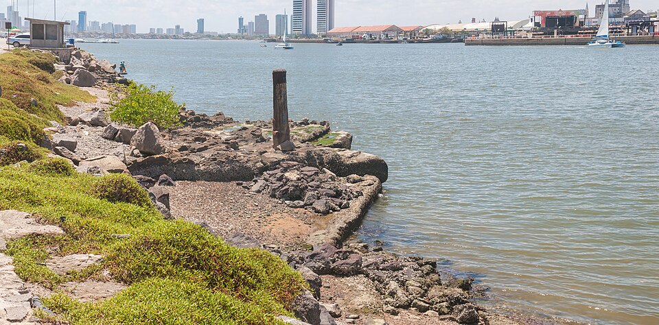 Recife — service booking platforms for local businesses